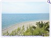 POSIDONIA PANSION, Photo 6 POSIDONIA PANSION, Photo 6