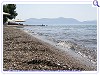 POSIDONIA PANSION, Photo 9 POSIDONIA PANSION, Photo 9