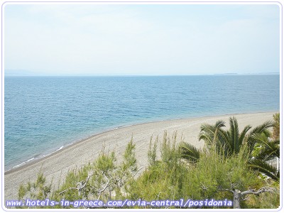 POSIDONIA PANSION, Photo 6 POSIDONIA PANSION, Photo 6