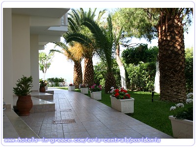 POSIDONIA PANSION, Photo 7 POSIDONIA PANSION, Photo 7