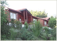 TETRAPOLIS GUESTHOUSE, , , Photo 6