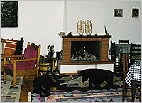 ATHANASAKIS ARCHONTIKO, Photo 5 ATHANASAKIS ARCHONTIKO, Photo 5