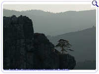 REFANIDIS NATURAL LUXURY HOTEL - SPA, Photo 1