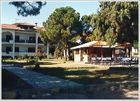 PENSION PSAROGIANNIS NIKITI-TRAVEL, Photo 1