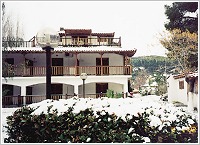 HOTEL REGOS VILLA, Photo 6