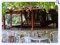 ANGELA VILLA, Aselinos, Skiathos, Photo 4