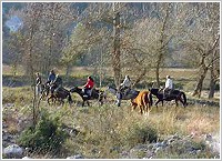 RIVERLAND OUTDOOR ACTIVITIES OIKODRASEIS NESTOU, Nestos, Xanthi, Photo 2