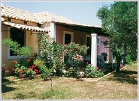 DAPHNES APARTMENTS, Photo 3 DAPHNES APARTMENTS, Photo 3